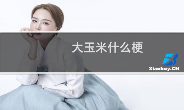 大玉米什么梗