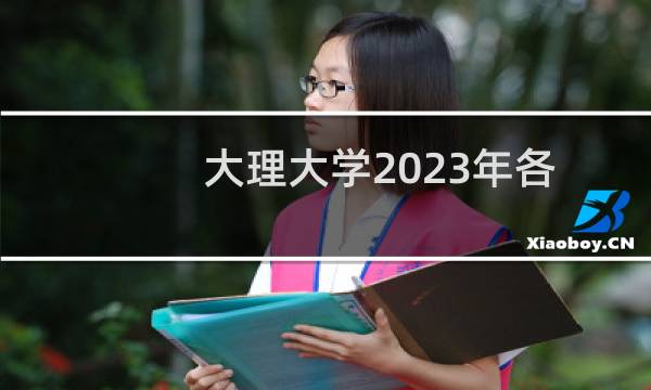 大理大学2023年各艺术类专业分数线