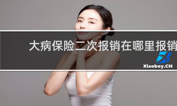 大病保险二次报销在哪里报销
