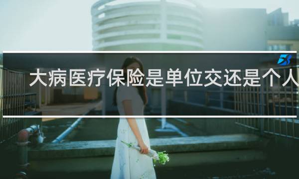大病医疗保险是单位交还是个人交