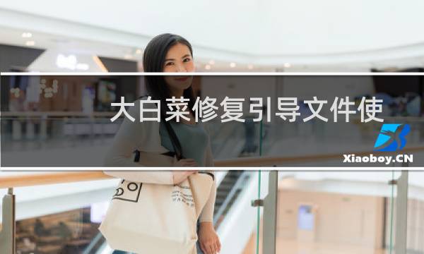 大白菜修复引导文件使用教程