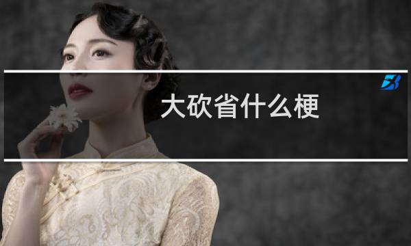 大砍省什么梗
