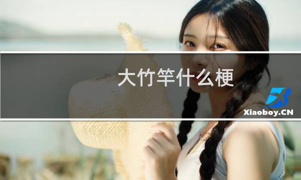 大竹竿什么梗