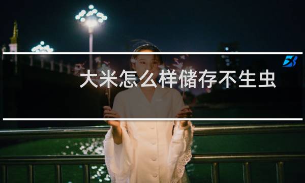 大米怎么样储存不生虫