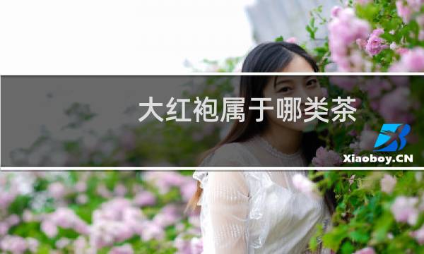 大红袍属于哪类茶