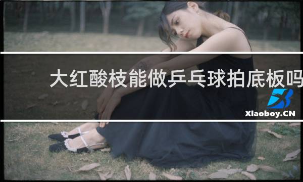 大红酸枝能做乒乓球拍底板吗