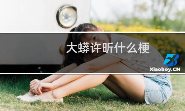 大蟒许昕什么梗