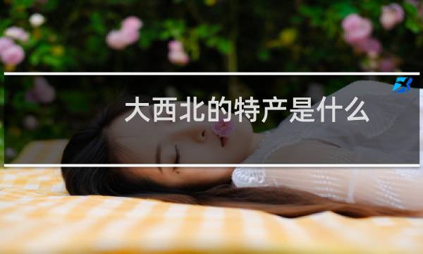 大西北的特产是什么图片