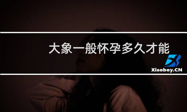 大象一般怀孕多久才能生下象宝宝（大象一般怀孕多久）图片