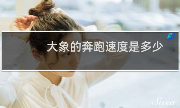 大象的奔跑速度是多少