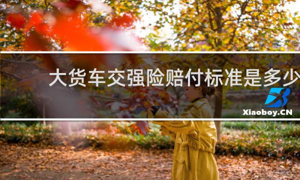 大货车交强险赔付标准是多少