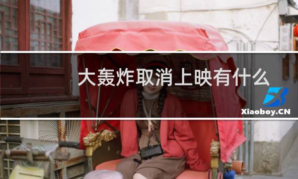大轰炸取消上映有什么后果（大轰炸取消上映）图片