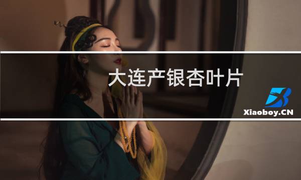 大连产银杏叶片