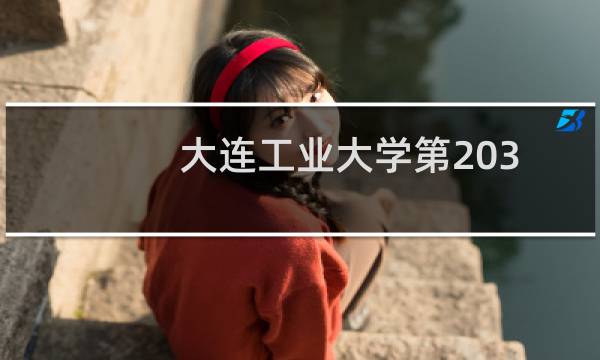 大连工业大学第203组(中外合作办学或国际项目)有哪些专业 招生多少人