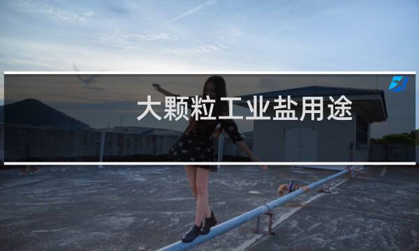 大颗粒工业盐用途图片