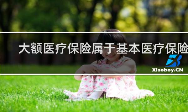 大额医疗保险属于基本医疗保险吗