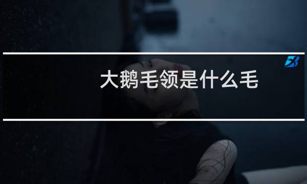 大鹅毛领是什么毛(大鹅毛领是什么毛)