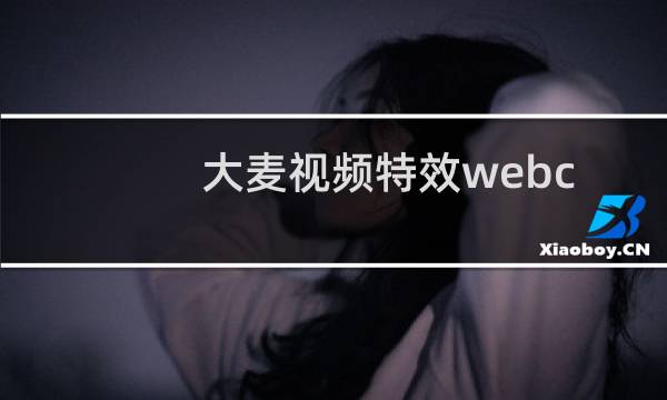 大麦视频特效webcammax怎么设置中文?