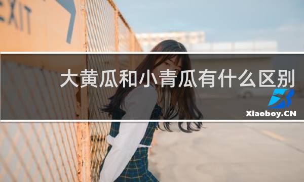 大黄瓜和小青瓜有什么区别