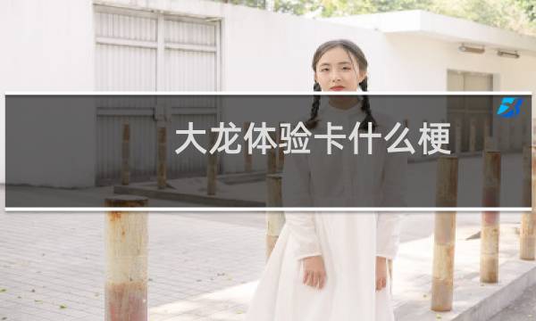 大龙体验卡什么梗