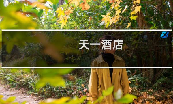 天一酒店
