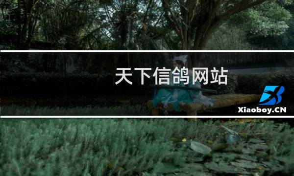 天下信鸽网站
