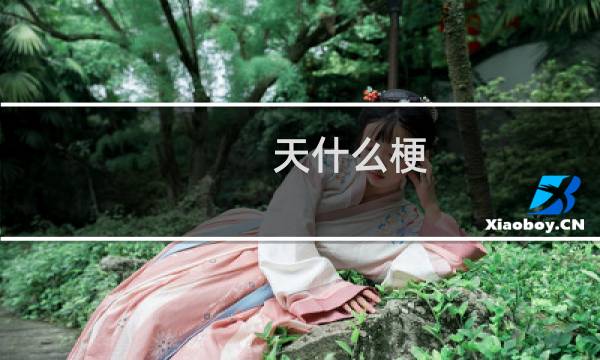 天什么梗