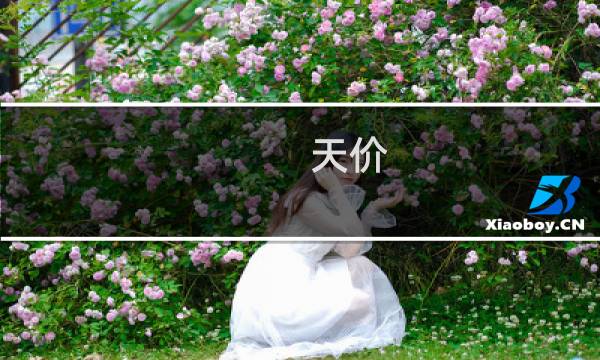 天价