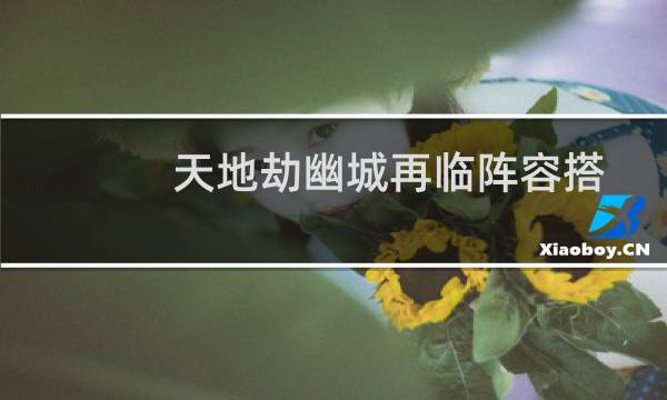 天地劫幽城再临阵容搭配推荐 微氪怎么搭配阵容