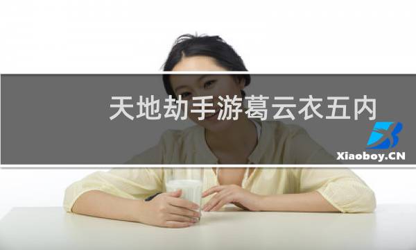 天地劫手游葛云衣五内加点攻略大全 天地劫葛云衣加点路线