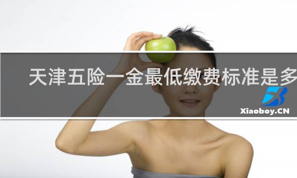 天津五险一金最低缴费标准是多少