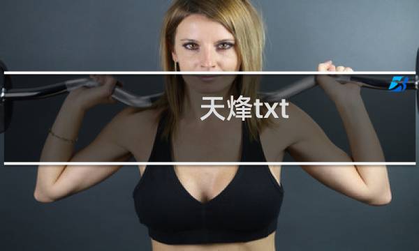 天烽txt