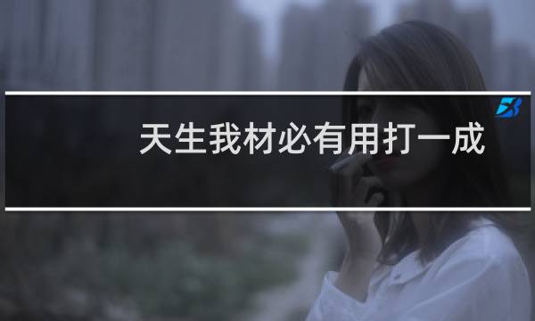 天生我材必有用打一成语（天生我材必有用作文）