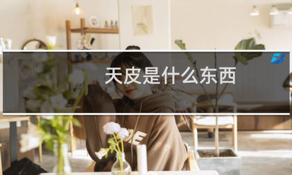 天皮是什么东西
