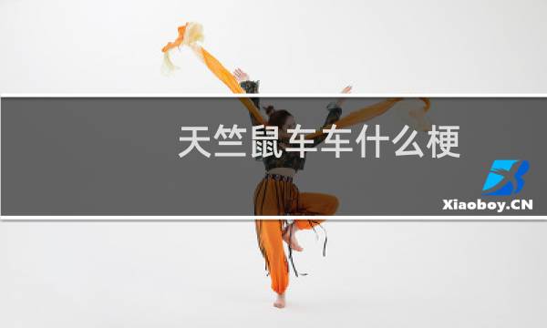 天竺鼠车车什么梗