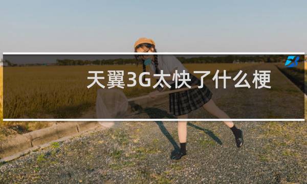 天翼3G太快了什么梗