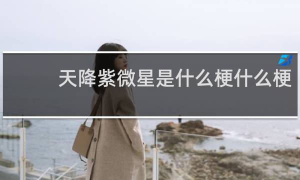 天降紫微星是什么梗什么梗