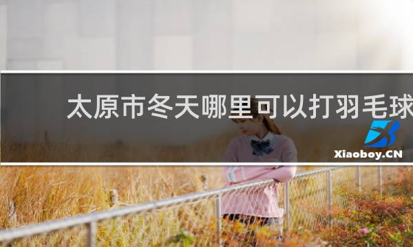 太原市冬天哪里可以打羽毛球