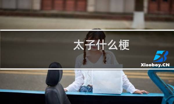 太子什么梗