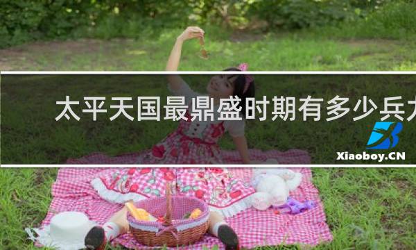 太平天国最鼎盛时期有多少兵力