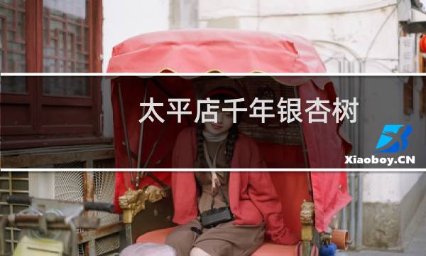 太平店千年银杏树