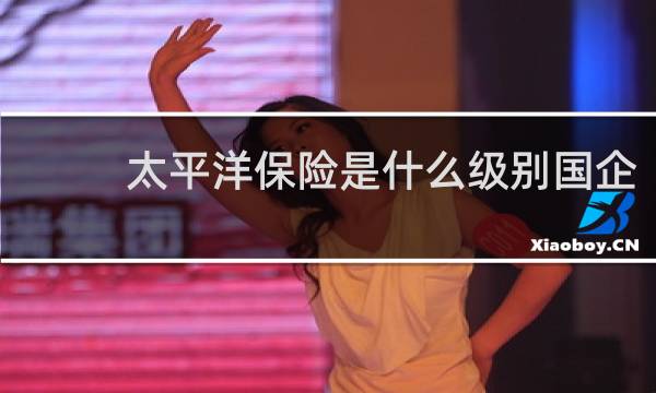 太平洋保险是什么级别国企