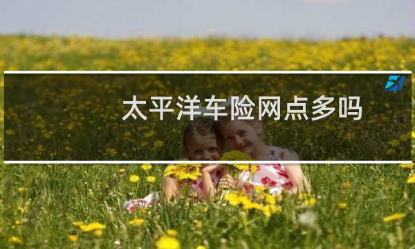 太平洋车险网点多吗
