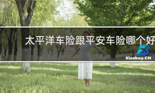 太平洋车险跟平安车险哪个好
