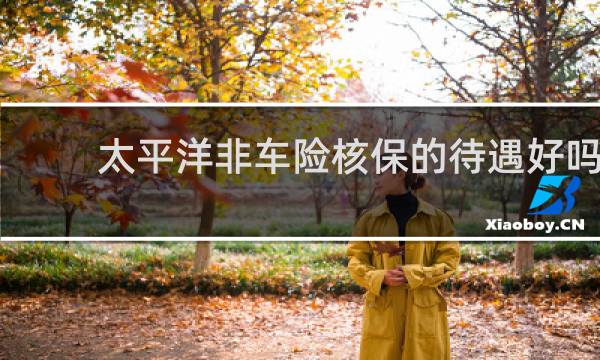 太平洋非车险核保的待遇好吗