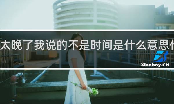 太晚了我说的不是时间是什么意思什么梗