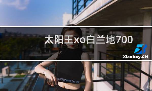 太阳王xo白兰地700ml多少钱图片