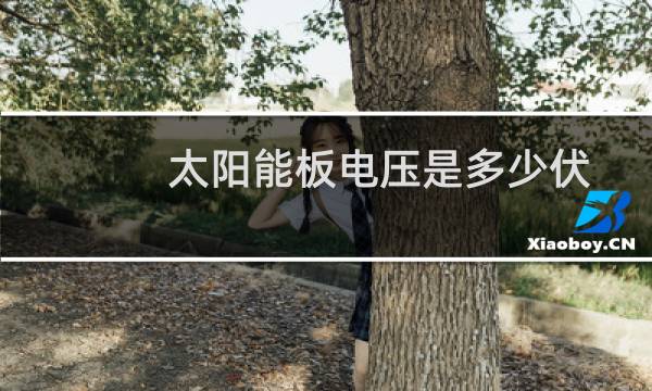 太阳能板电压是多少伏图片