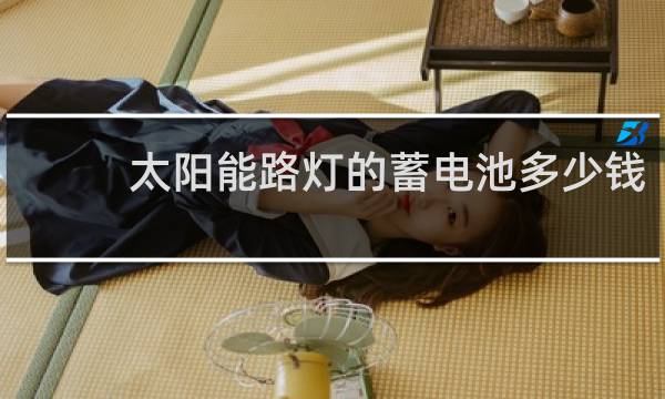 太阳能路灯的蓄电池多少钱图片
