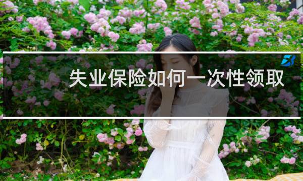 失业保险如何一次性领取